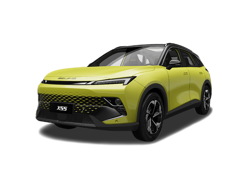 X55